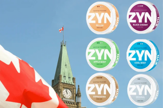 Where Can I Buy ZYN in Canada?