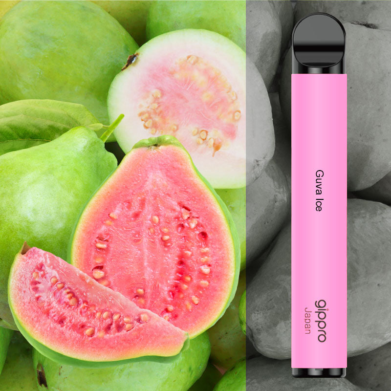 Gippro 800 Puffs Disposable Vape